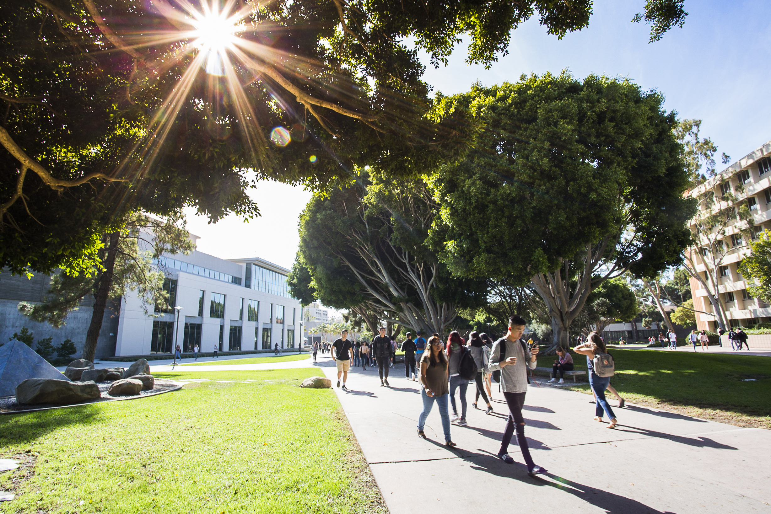 students-on-campus